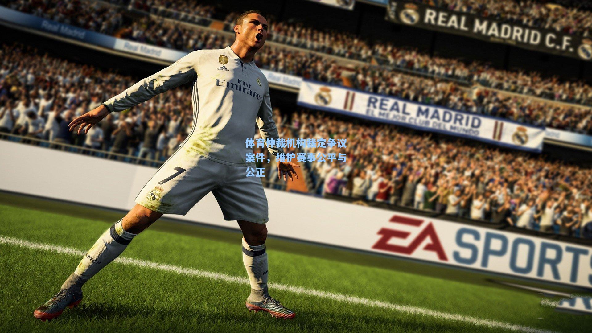 体育仲裁机构裁定争议案件，维护赛事公平与公正