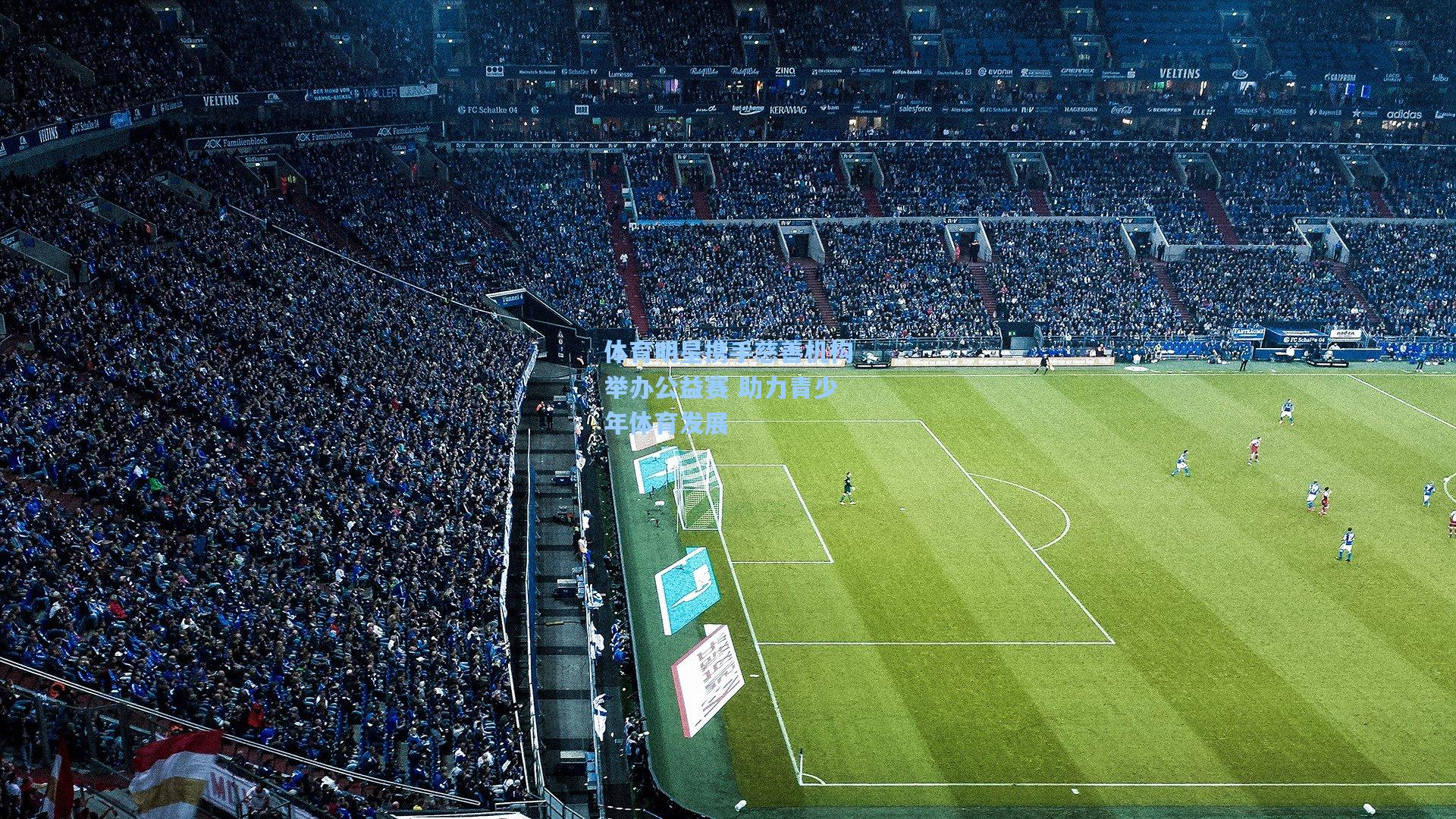 体育明星携手慈善机构举办公益赛 助力青少年体育发展