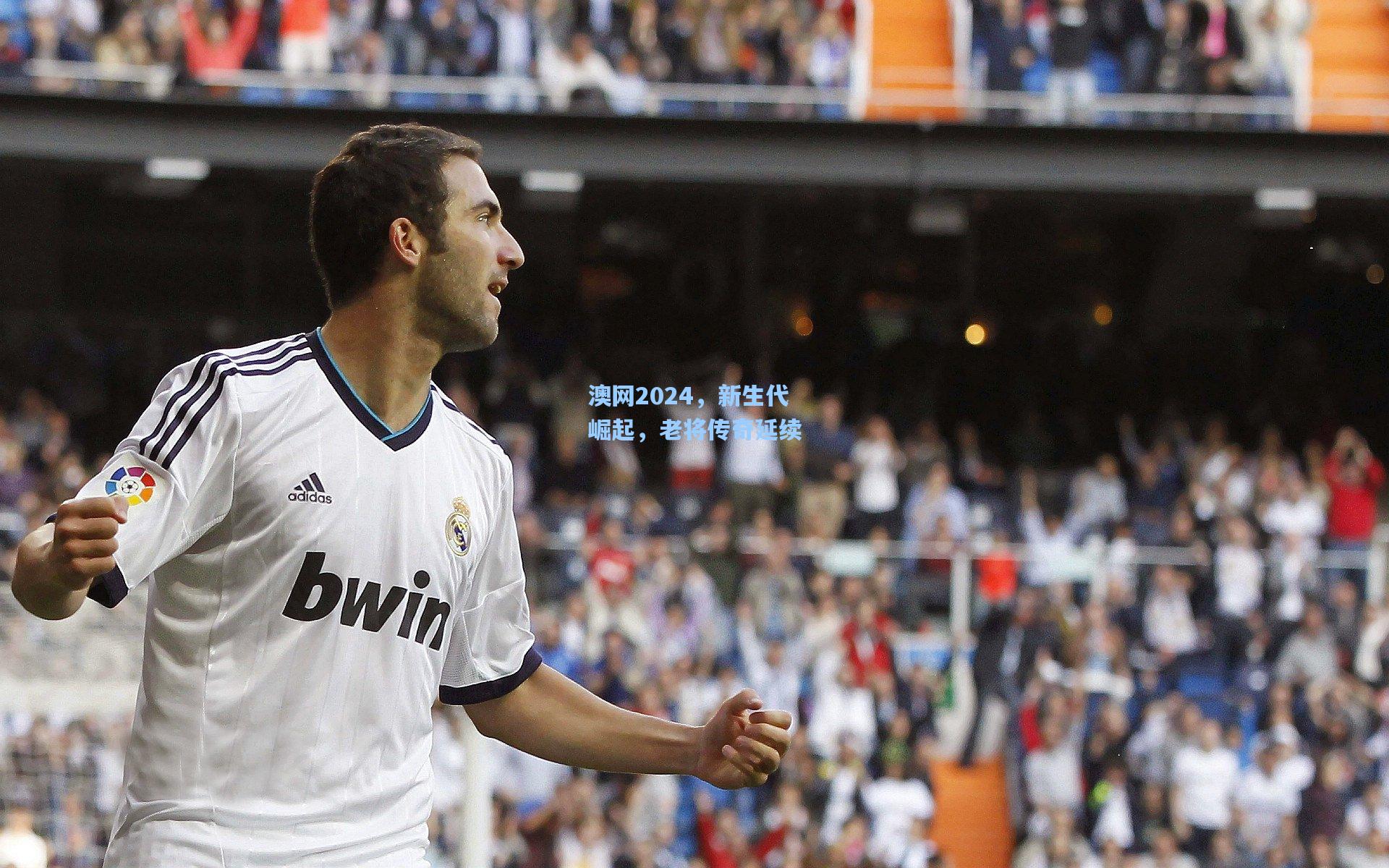 澳网2024，新生代崛起，老将传奇延续