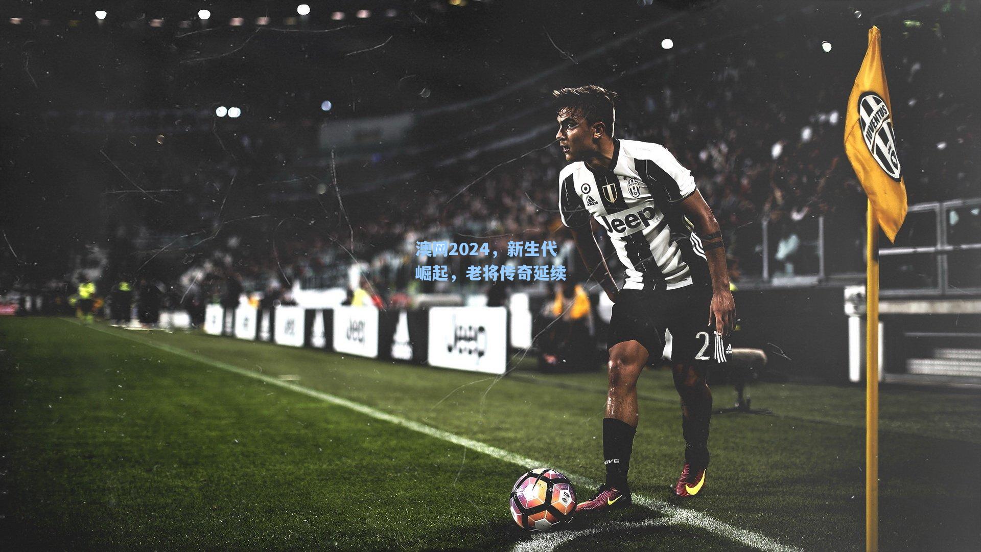 澳网2024，新生代崛起，老将传奇延续