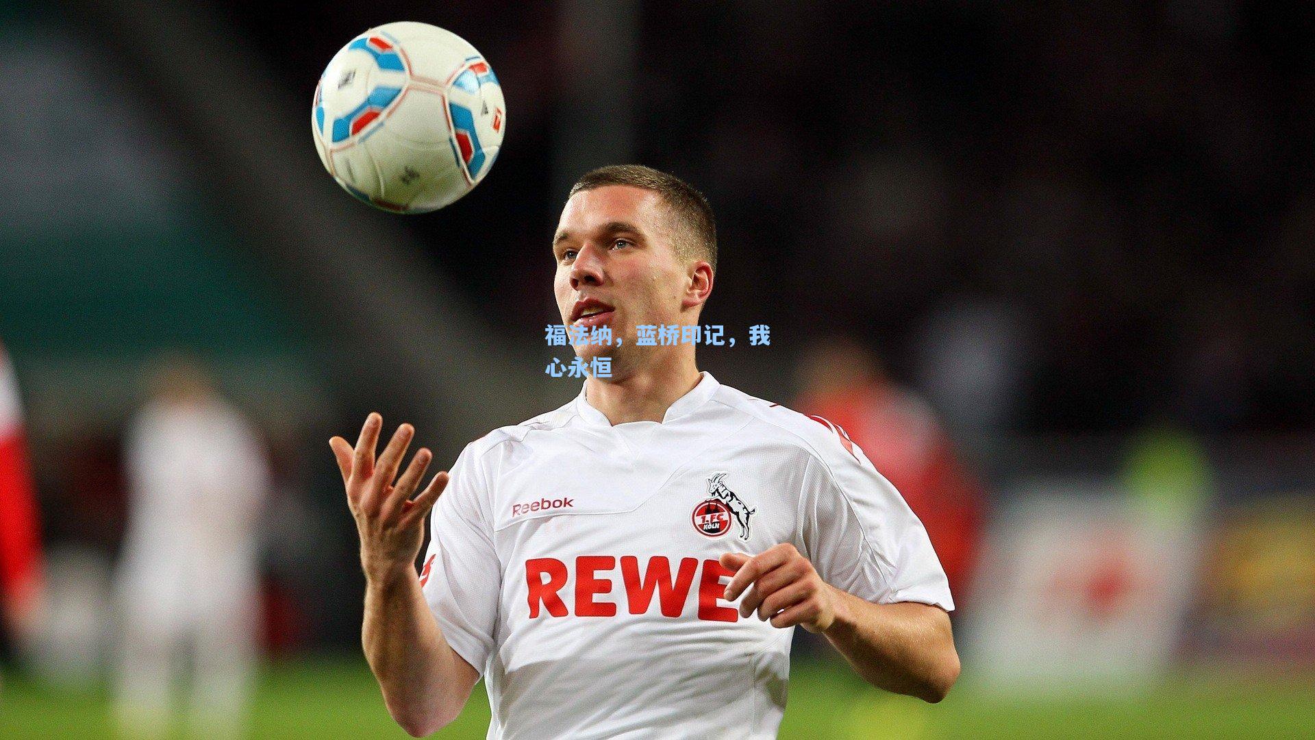 福法纳，蓝桥印记，我心永恒