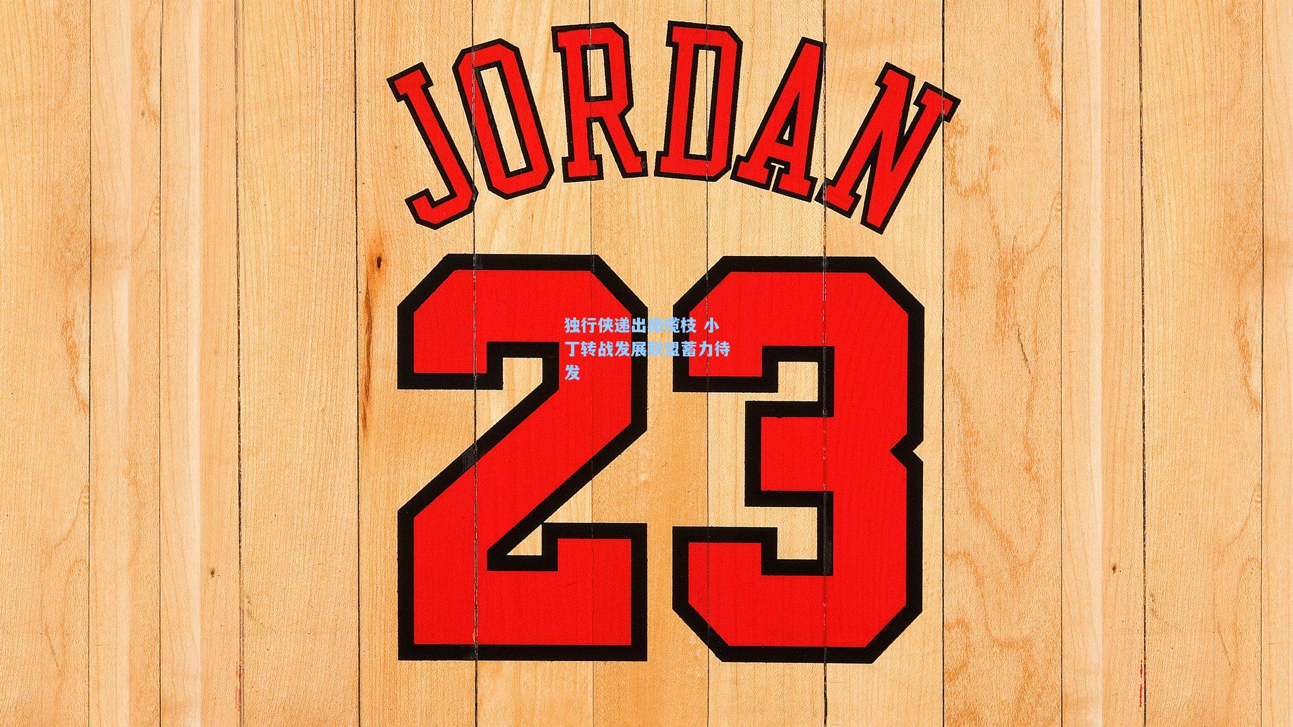 独行侠递出橄榄枝 小丁转战发展联盟蓄力待发